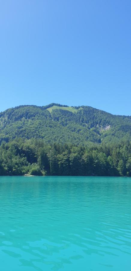 Ferienwohnung Am Fuschlsee Fuschl am See Exterior photo
